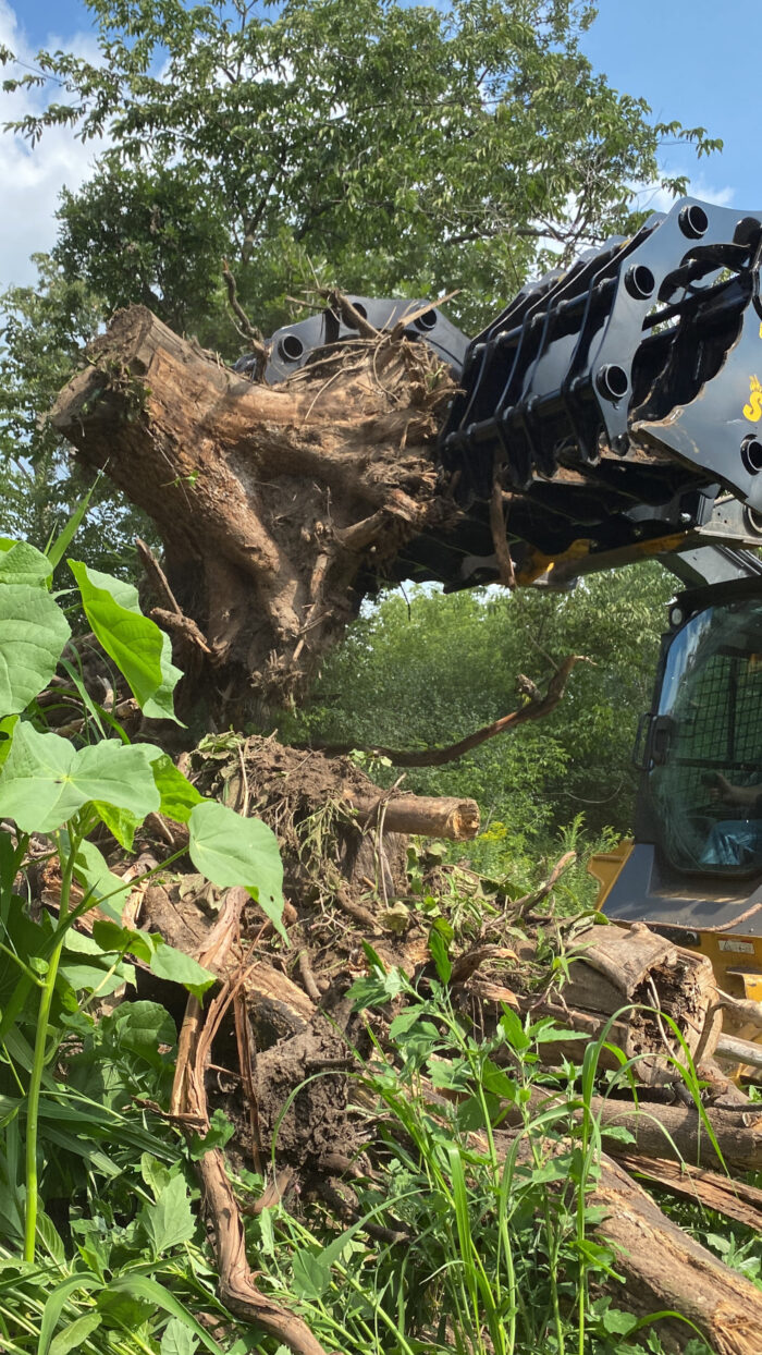 Machine uprooting a tree trunk in forested area
